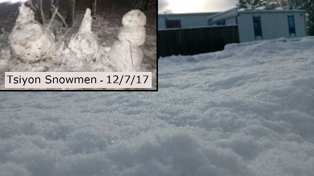 Tsiyon Snowmen