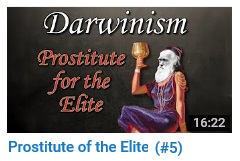 Darwinism - Prostitute for the Elite