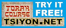 Free Torah Course!