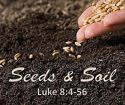 Seeds of the Kingdom.