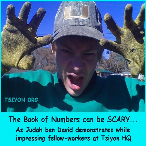 Scary Book of Numbers