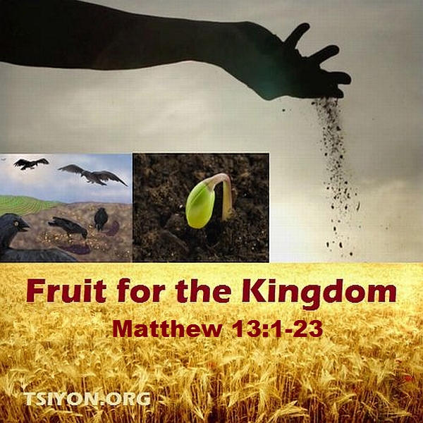 More Fruit for the Kingdom!