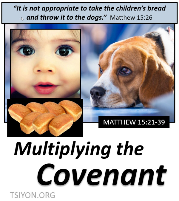 Multiplying the Covenant
