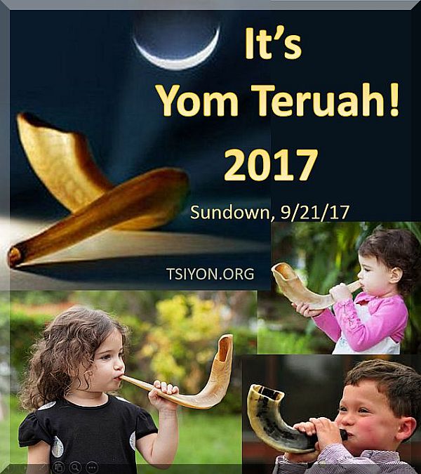 It's Yom Teruyah!