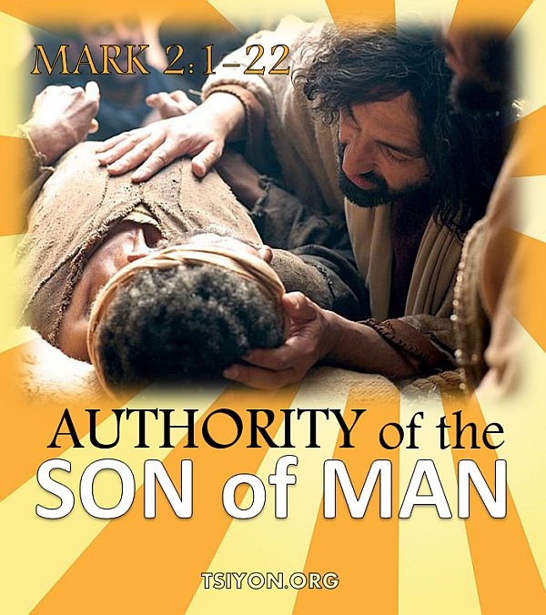 Authority of the Son of Man