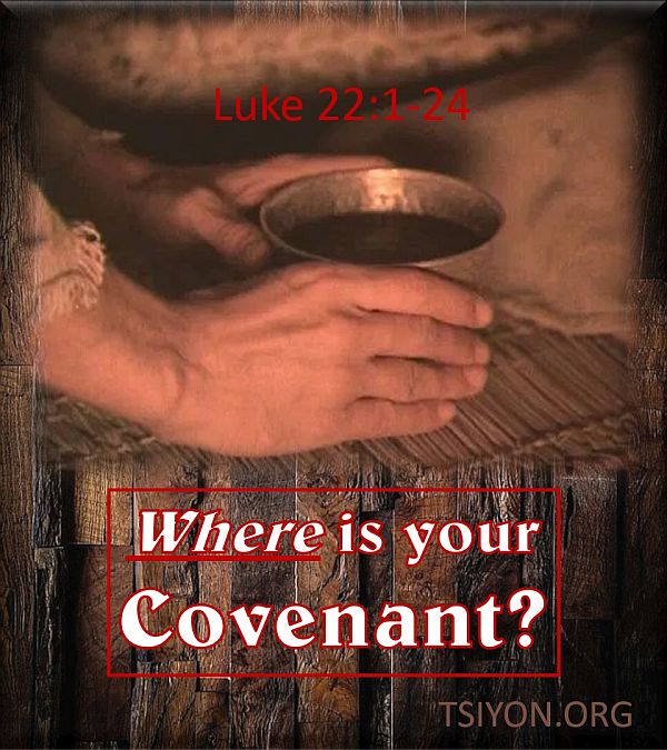 Where is your covenant?