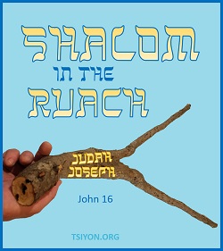 Shalom to you!