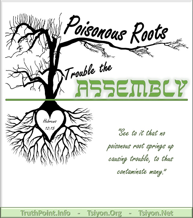 Poisonous Roots Trouble the Assembly Hebrews 12:15 