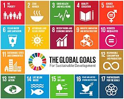 Global Goals - says who?