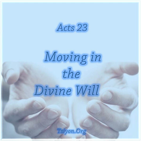 Moving in the Divine Will