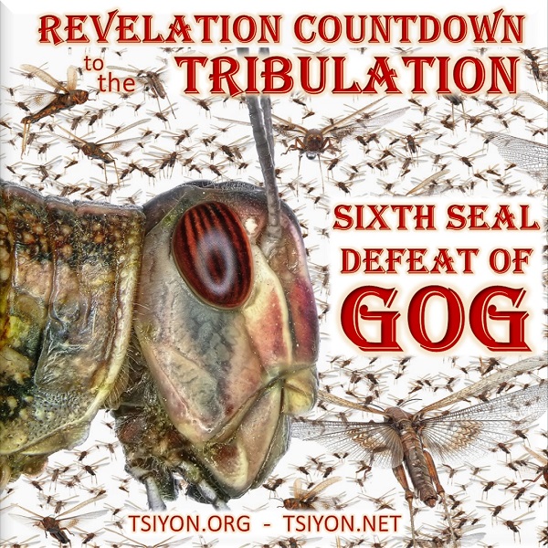 Tap image to read this week's Tsiyon News Image of locus swarm with text revelation countdown to the tribulation sixth seal defeat of Gog tsiyon.org and tsiyon.net