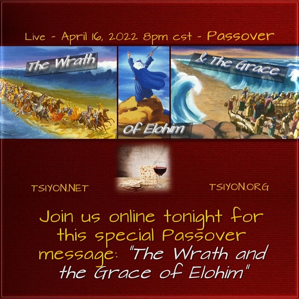 Passover invite at 8pm cst 
