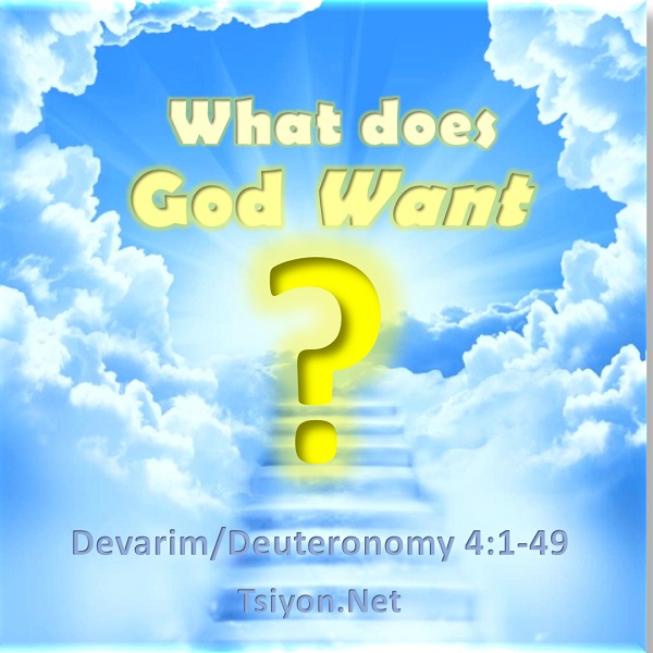 Image of a ladder going into the sky with the words What Does God Want? Devarim Deuteronomy 4:1-49 tap image to read this weeks Tsiyon News