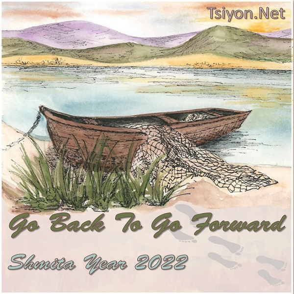 Go Back to Go Forward