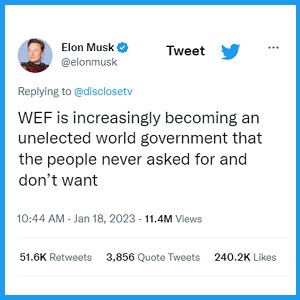 WEF World Government