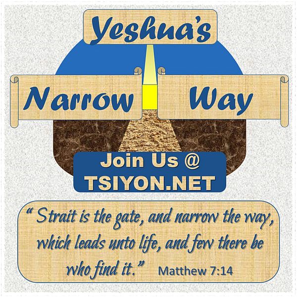 Tap to read this week's Tsiyon News entitled: This is the Way! 