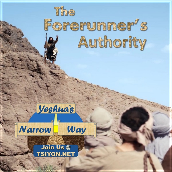 The Forerunne's Authority