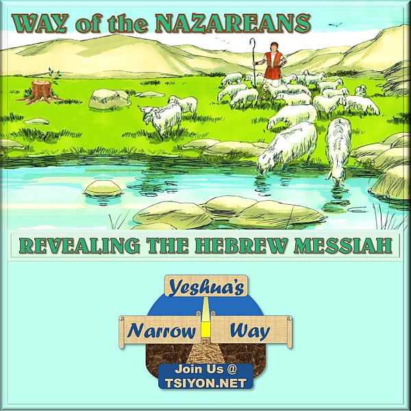 Way of the Nazareans: Revealing the Hebrew Messiah.  Tap to read this week's Tsiyon News 