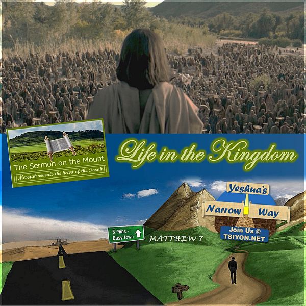 Life in the Kingdom
