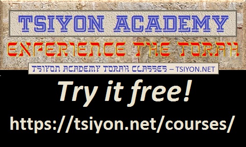 Try our Tsiyon Torah Course