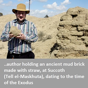 Bricks-made-with-straw