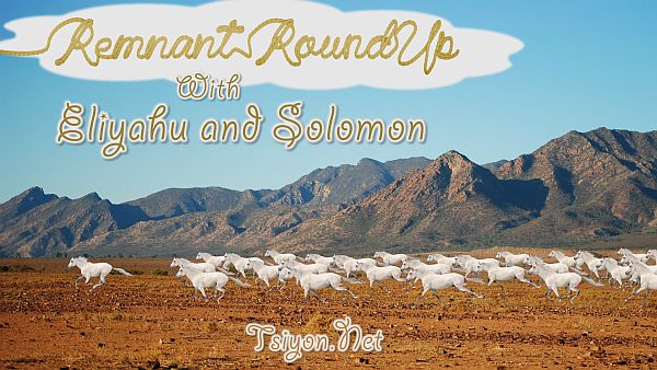 Remnant Roundup