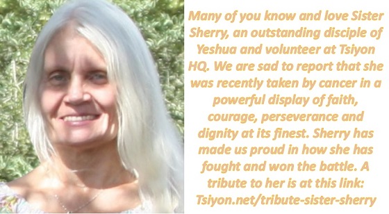 The disciple - Sister Sherry