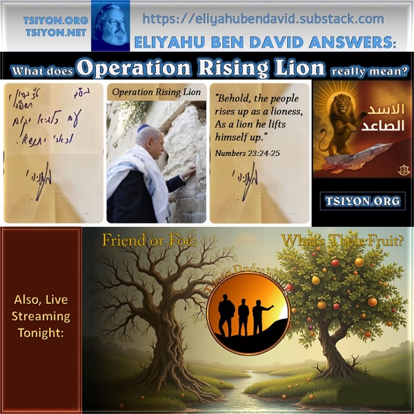 Rising Lion