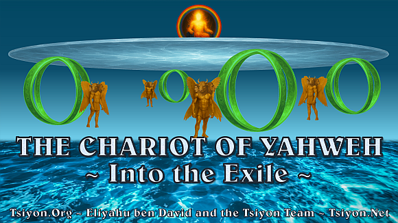For Tsiyon Members