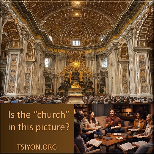 In this Tsiyon News...