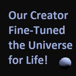 Our Creator