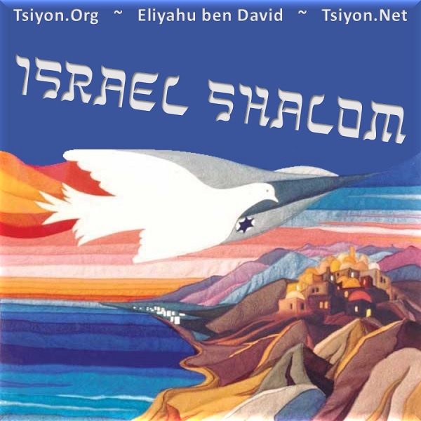 In this Tsiyon News...