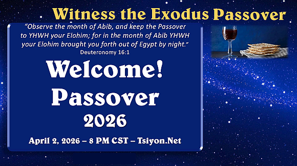You are invited!