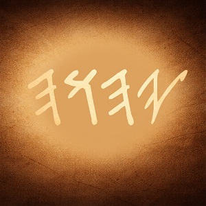 The NAME