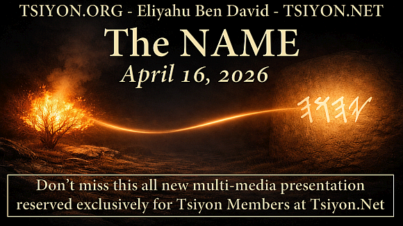 You are invited!