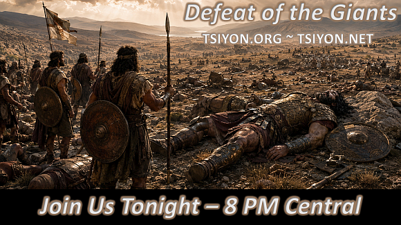 You are invited