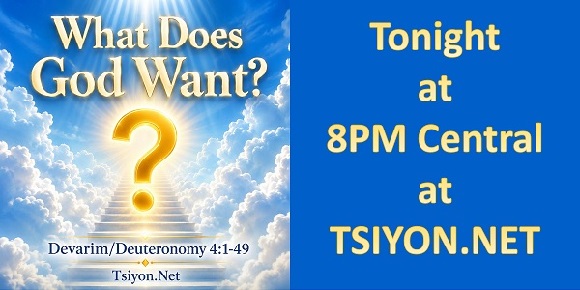 See this tonight!