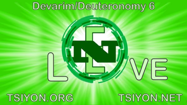 Join us at Tsiyon.net