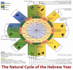 The Natural Cycle of the Hebrew Calendar - Tsiyon Road Messianic Radio