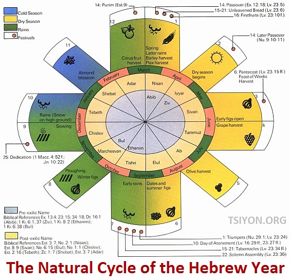 The Natural Cycle of the Hebrew Calendar Tsiyon Road Messianic Radio