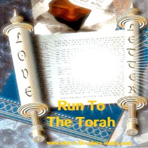 Album Cover "Run to The Torah"