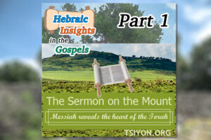 HIG S1 E3 - Matthew 4-5 - Heart of the Torah P1