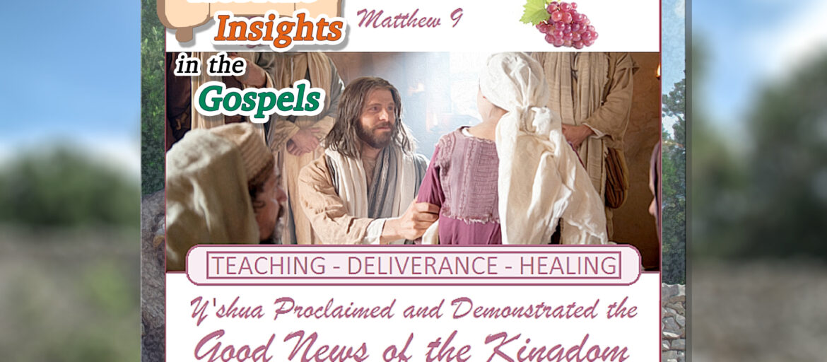 HIG #007 - Matthew 9 - Messiah's Kingdom Ministry - blog post