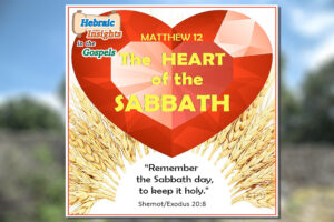 HIG #010 - Matthew 12v1-21 - The Heart of the Sabbath img- blog post