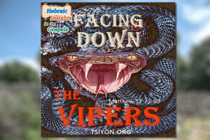 HIG S1 E11 - Matthew 12v22-50 - Facing Down the Vipers