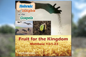 HIG #012 - Matthew 13v1-23 - Fruit for the Kingdom