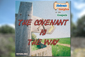 HIG S1 E15 - Matthew 15 - The Covenant Is The Way