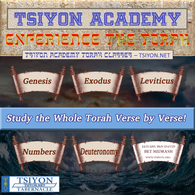 Tsiyon Website - Tabernacle promos EBD Torah Course with banner button