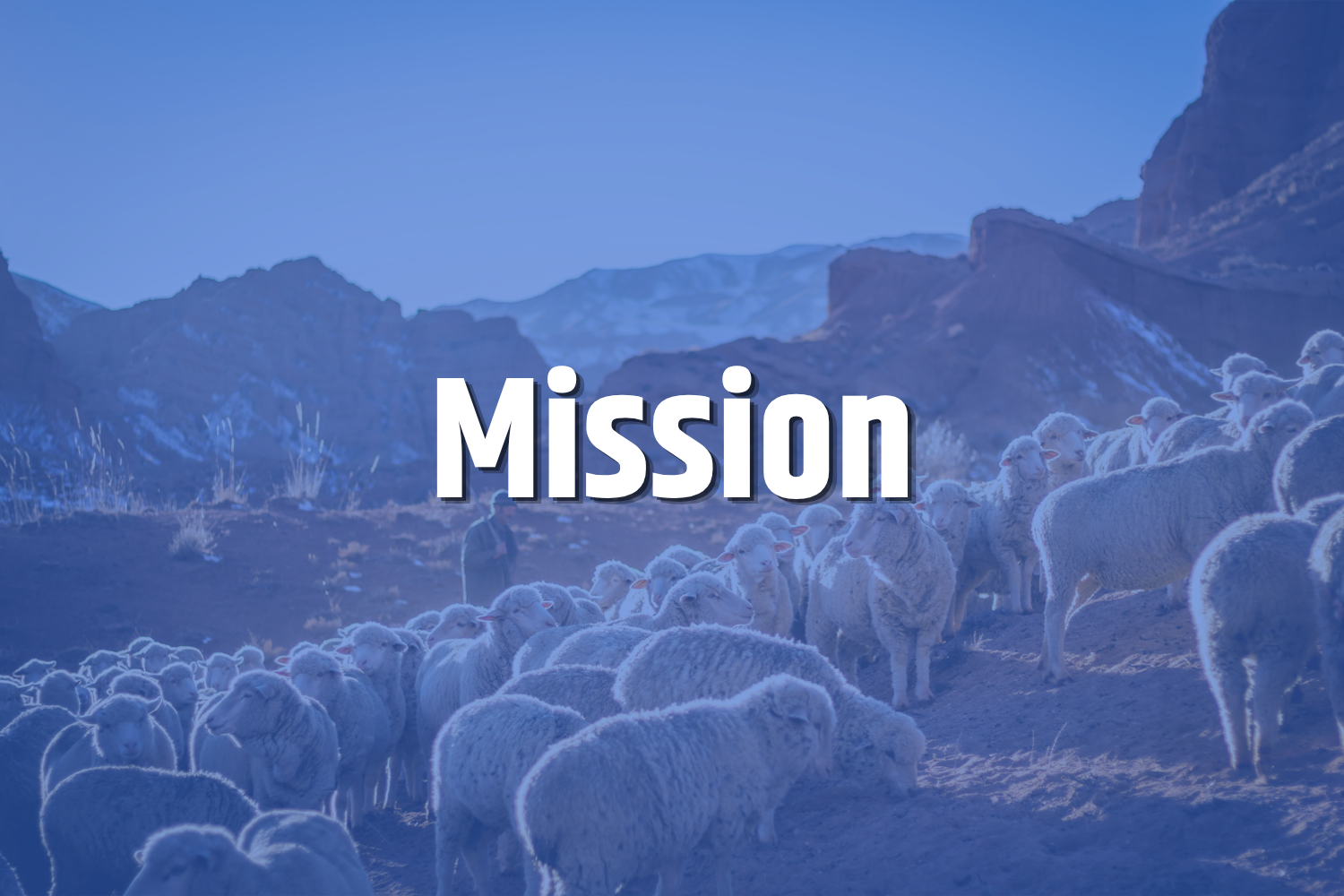 Tsiyon Mission