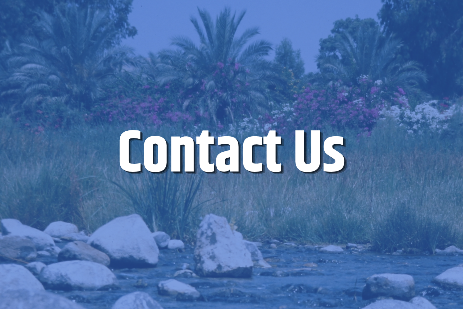 Contact Us